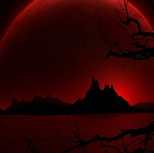 Meet your Posher, Isabella